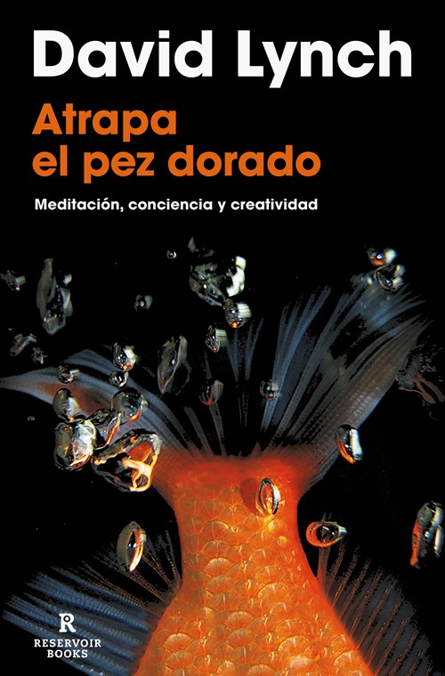 Post destacado de la madriguera libros | Producto: ATRAPA EL PEZ DORADO